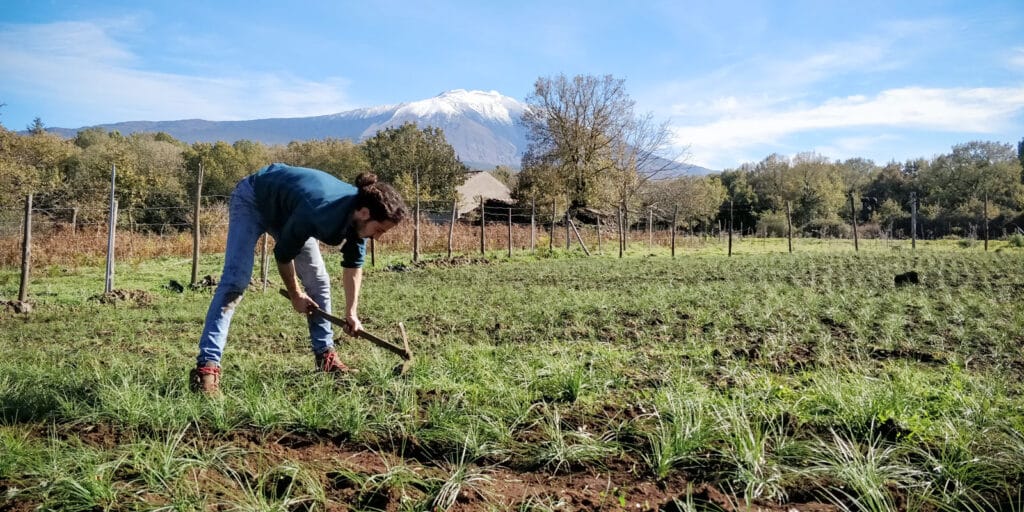 Vincenzo Capizzi al lavoro in un campo di zafferano ai piedi dell'Etna, intento a curare le piante con una zappa. Sullo sfondo, l'Etna innevato si staglia contro un cielo limpido, circondato da una natura rigogliosa e recinzioni rustiche